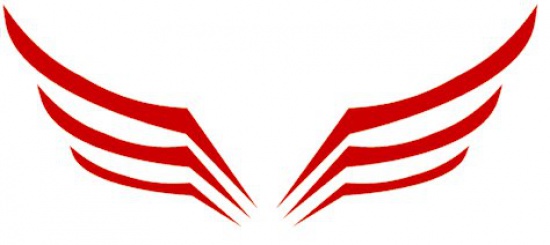 HAWK Hurtownia torebek włoskich Katowice